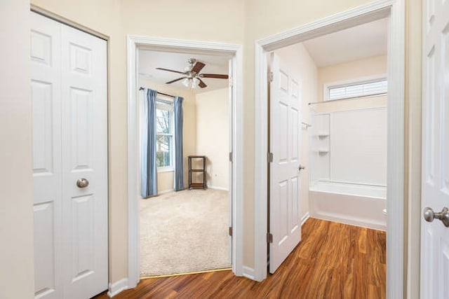 corridor with dark hardwood / wood-style floors