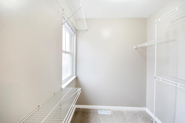 spacious closet with carpet flooring