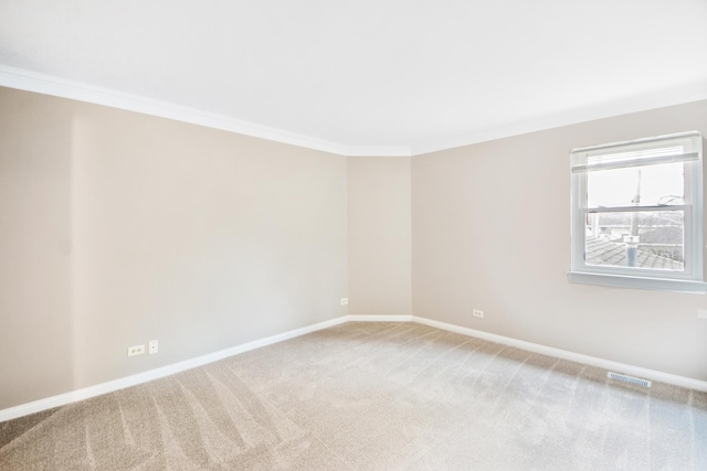 spare room featuring carpet floors and crown molding