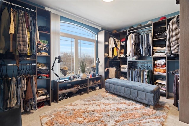 spacious closet with carpet