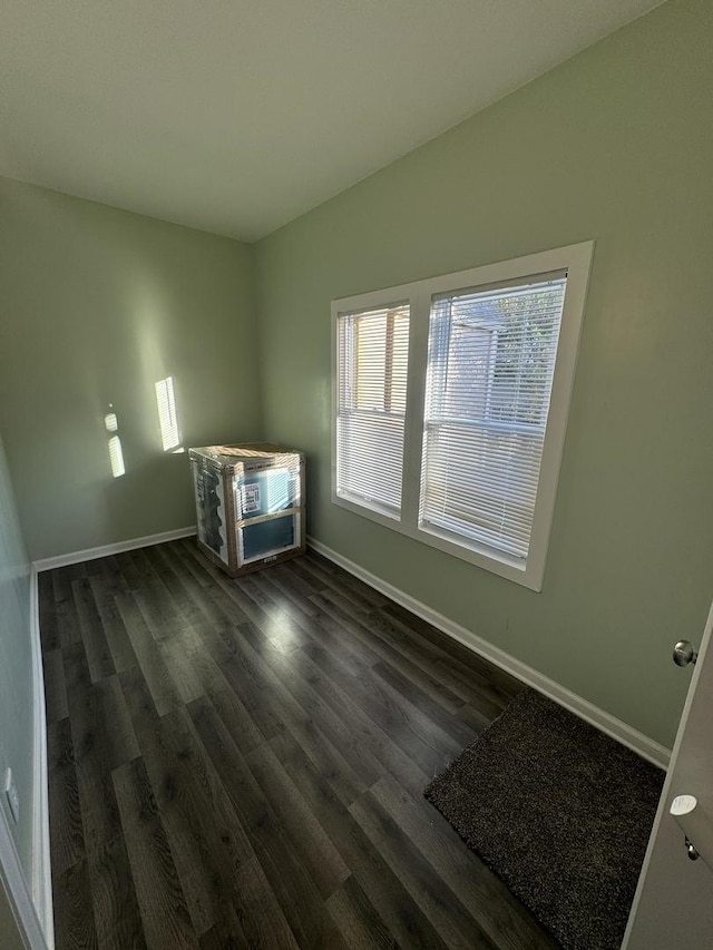 spare room with dark wood-type flooring