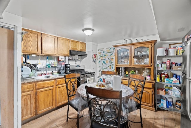 kitchen featuring backsplash, light wood-type flooring, sink, and appliances with stainless steel finishes