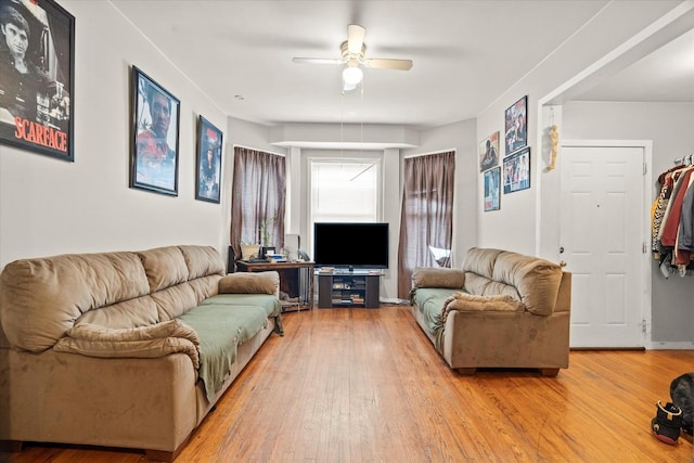 living room with ceiling fan and light hardwood / wood-style flooring