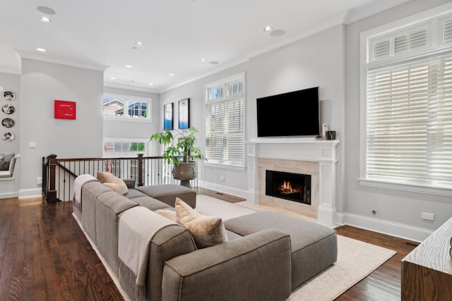 living room featuring dark hardwood / wood-style flooring, ornamental molding, a fireplace, and a wealth of natural light