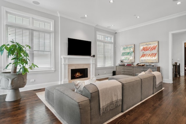 living room with dark hardwood / wood-style floors and ornamental molding