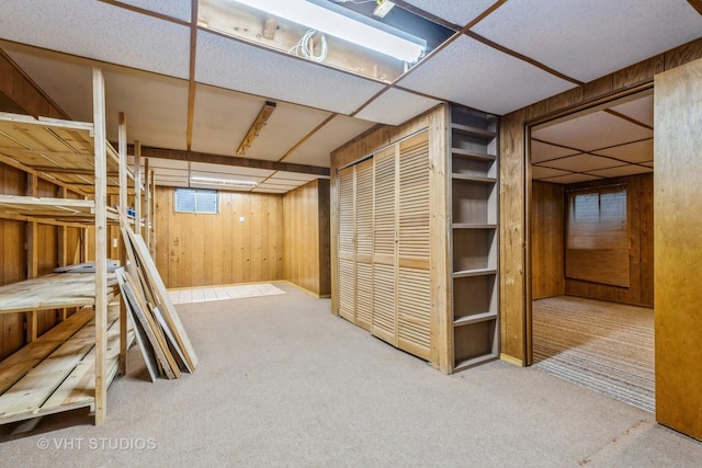 basement featuring carpet and wood walls