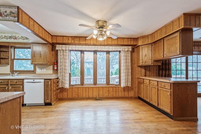 kitchen featuring ceiling fan, sink, white dishwasher, and light hardwood / wood-style flooring