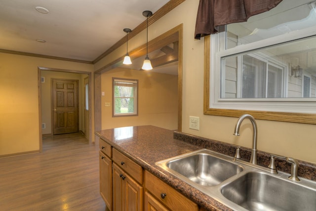 kitchen with dark hardwood / wood-style flooring, hanging light fixtures, ornamental molding, and sink