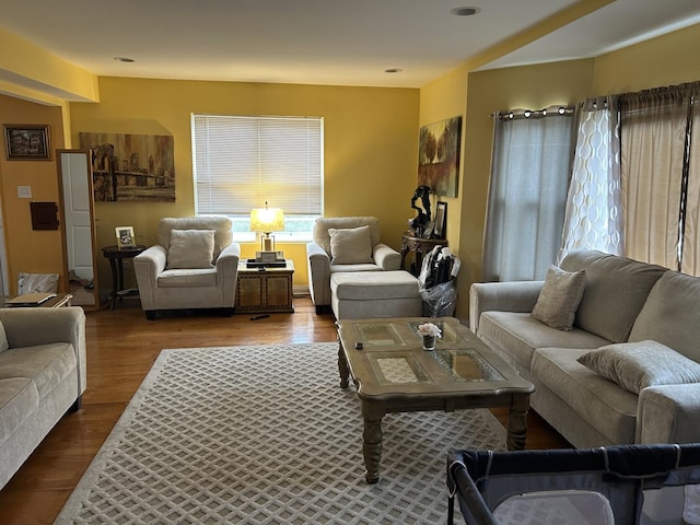 living room featuring wood-type flooring