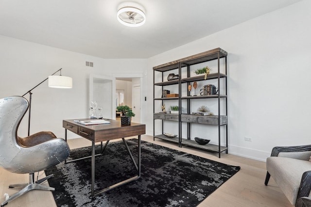 office featuring wood-type flooring