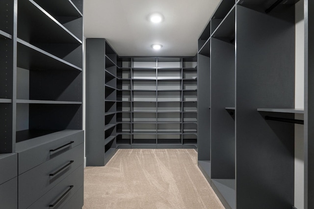 walk in closet with light carpet