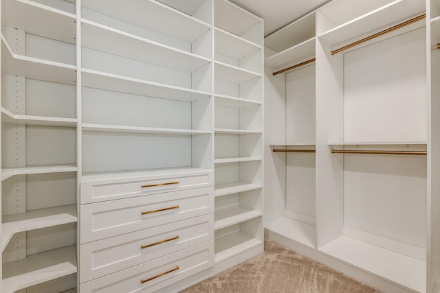 spacious closet featuring light colored carpet