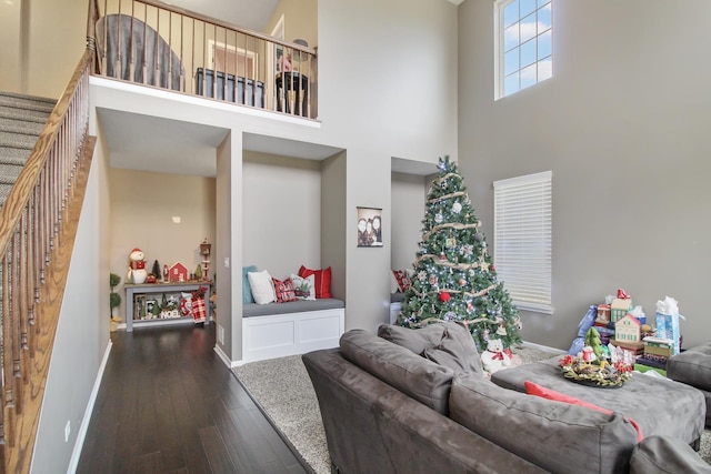 living room with a high ceiling and dark hardwood / wood-style flooring