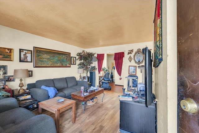 living room featuring hardwood / wood-style floors and a textured ceiling