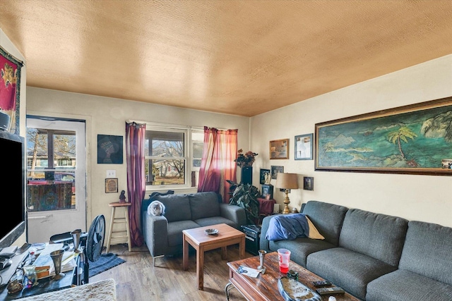 living room with light hardwood / wood-style flooring and a textured ceiling