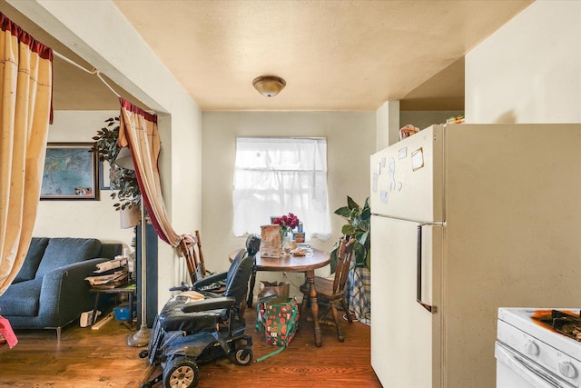 kitchen with hardwood / wood-style floors and white appliances