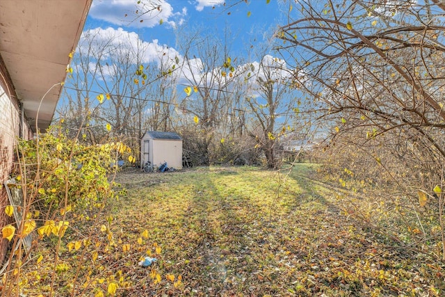 view of yard with a storage shed