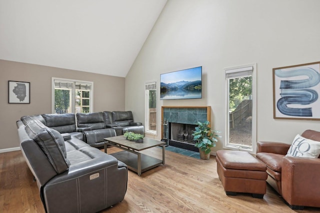 living room featuring a fireplace, light hardwood / wood-style flooring, and a healthy amount of sunlight