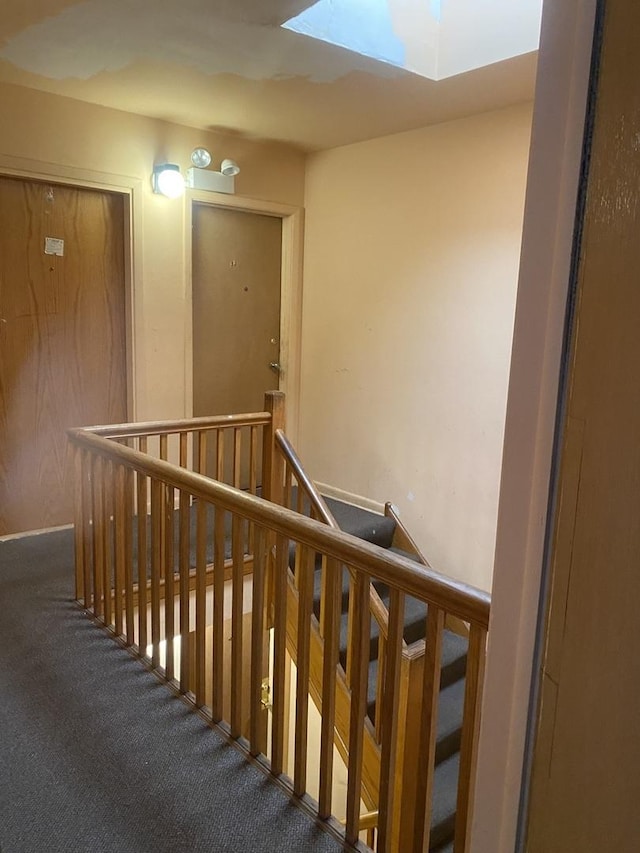 hall featuring carpet flooring and a skylight