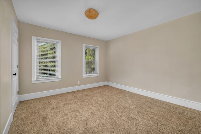 spare room featuring carpet floors