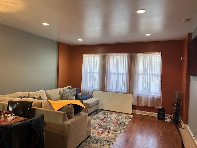 living room with dark wood-type flooring