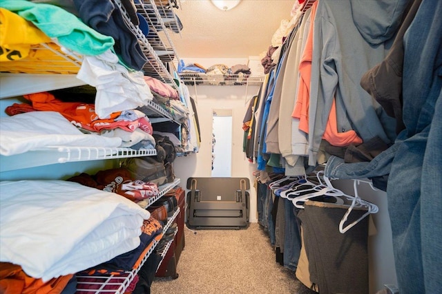 spacious closet featuring light colored carpet