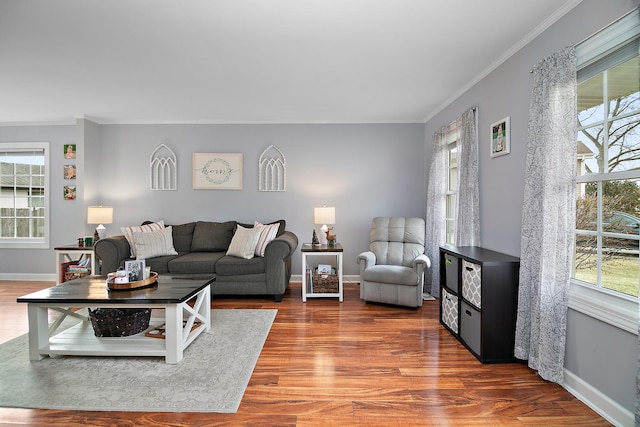 living room featuring hardwood / wood-style floors and ornamental molding