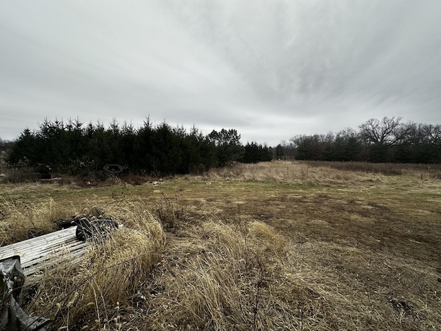 view of local wilderness featuring a rural view