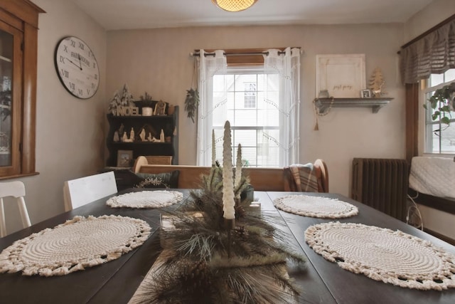 dining room featuring radiator