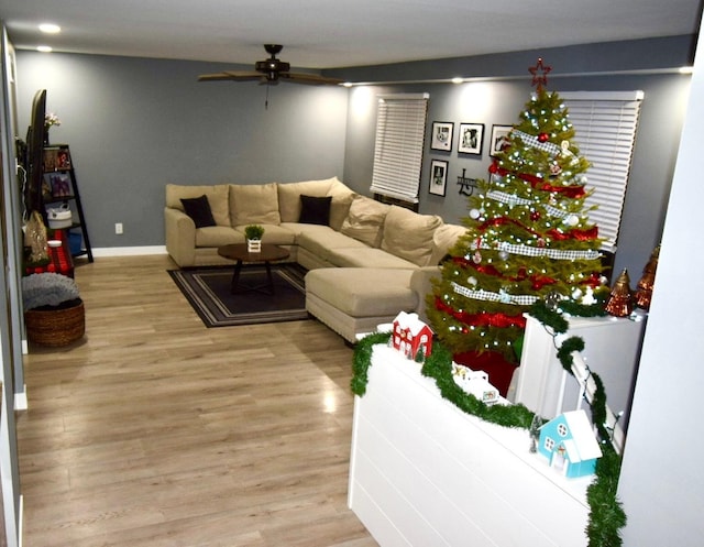 living room with ceiling fan and light hardwood / wood-style flooring