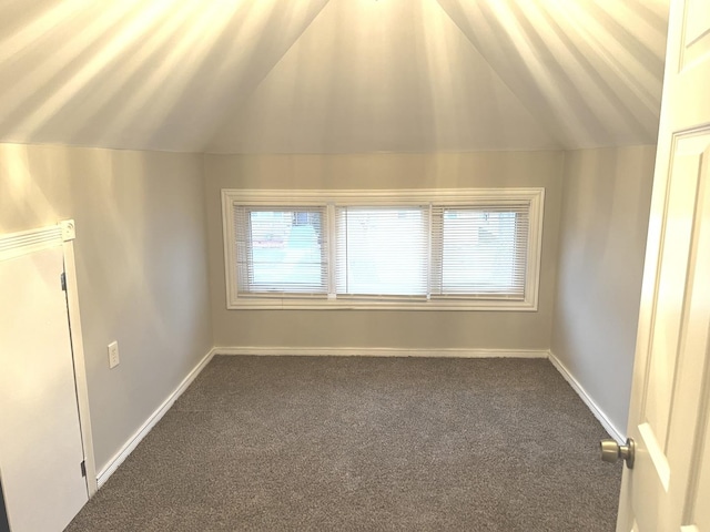 additional living space featuring carpet and vaulted ceiling