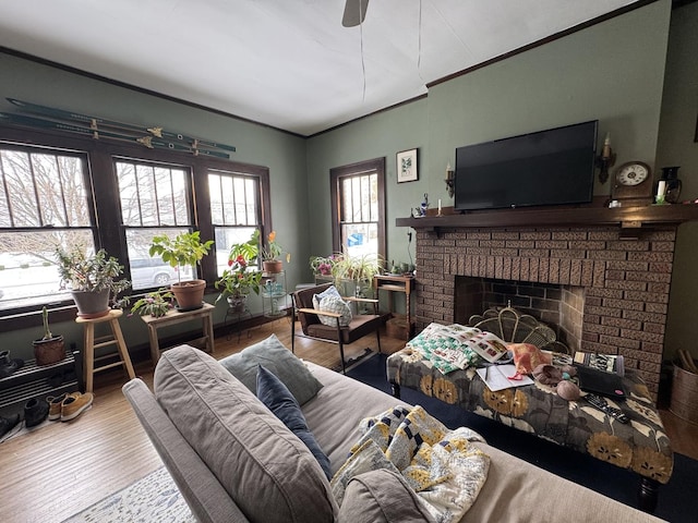 living room with hardwood / wood-style floors, ceiling fan, crown molding, and a fireplace