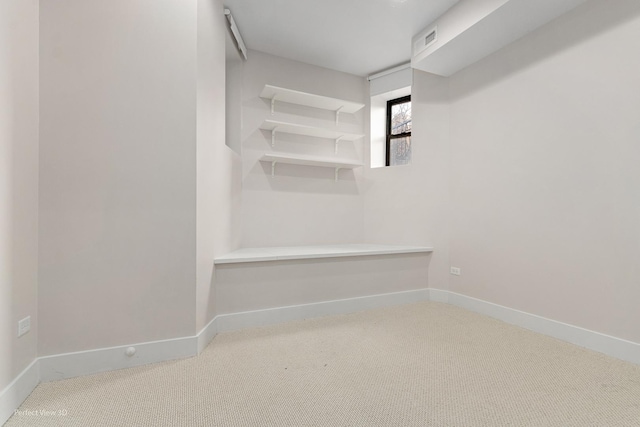 spacious closet featuring carpet