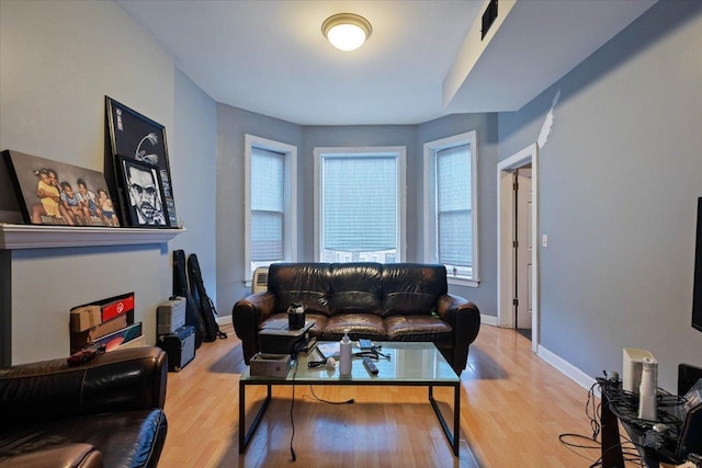 living room featuring a healthy amount of sunlight and light wood-type flooring