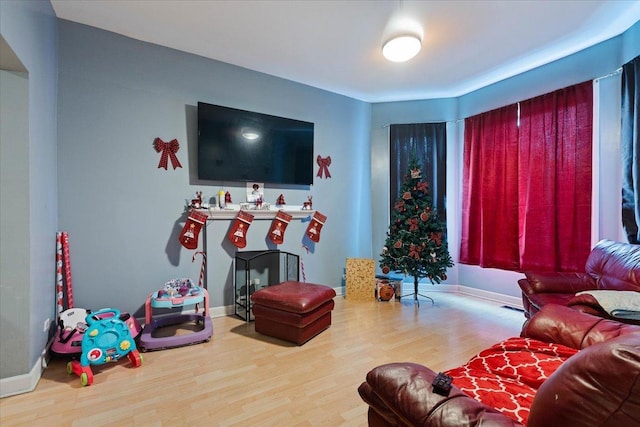 living room with hardwood / wood-style floors