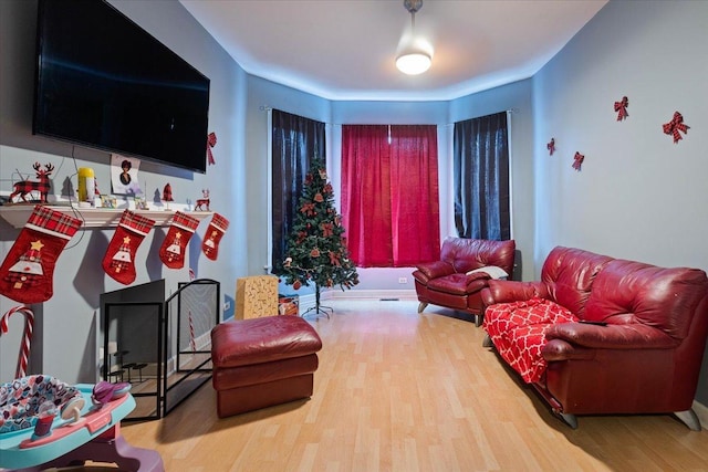 living room featuring wood-type flooring