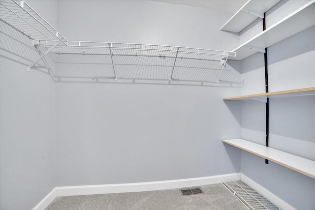 spacious closet featuring carpet