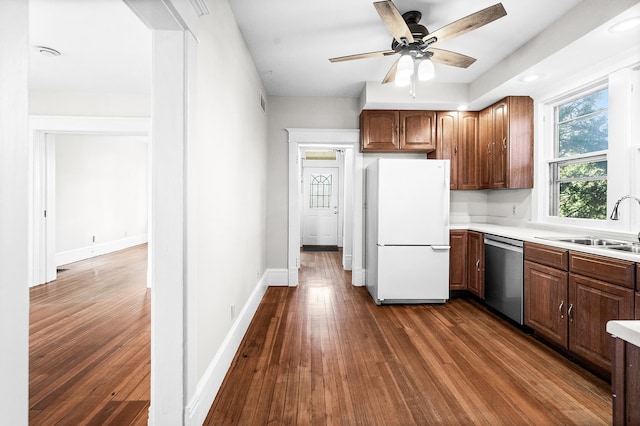 kitchen with ceiling fan, sink, stainless steel dishwasher, dark hardwood / wood-style floors, and white fridge