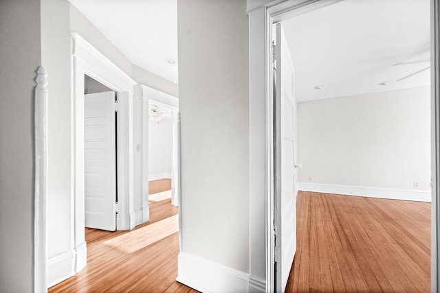 corridor with hardwood / wood-style floors