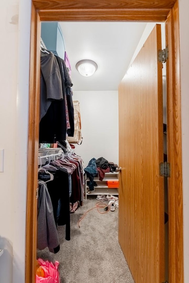 spacious closet with carpet flooring