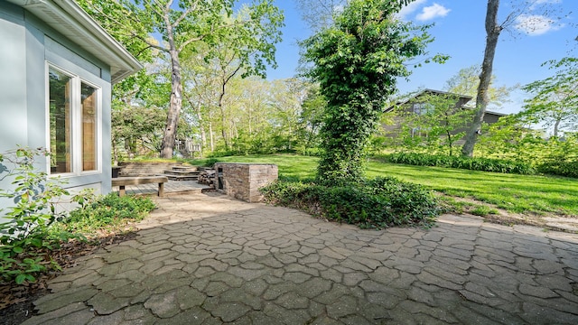 2239 Pine Bluff Dr, Dixon, IL 61021 - view of patio