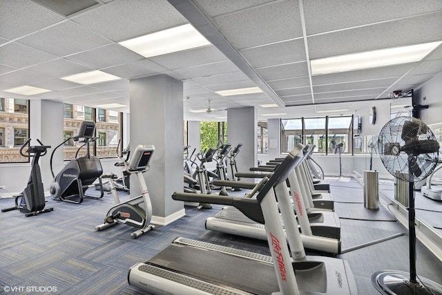 gym featuring a paneled ceiling, carpet floors, and a wealth of natural light