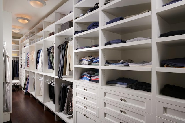 spacious closet with dark wood-style floors