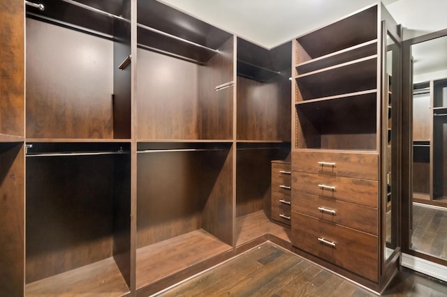 spacious closet with dark hardwood / wood-style floors