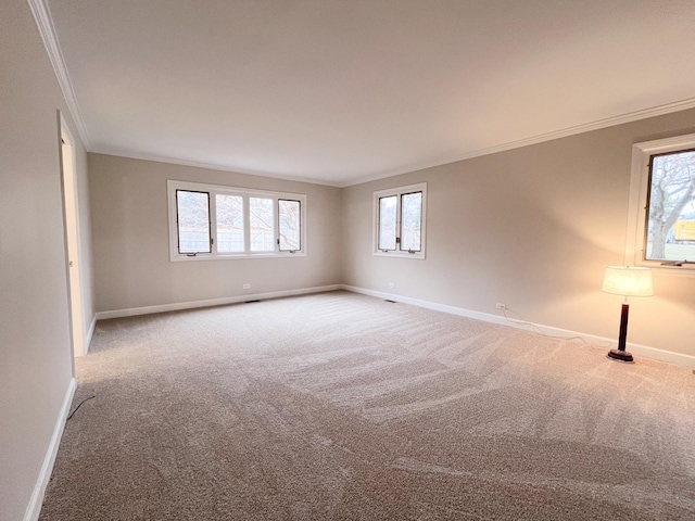 unfurnished room featuring carpet floors and ornamental molding