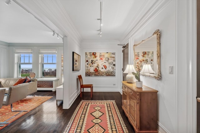 corridor featuring rail lighting, dark wood-style flooring, baseboards, and ornamental molding
