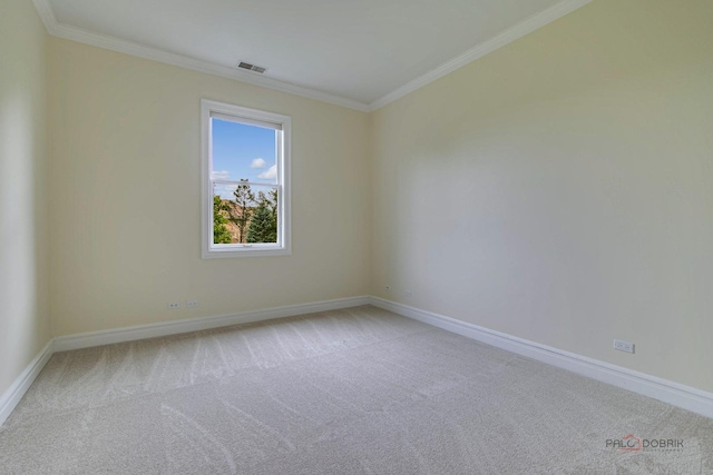 empty room featuring crown molding and carpet floors