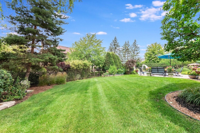 view of yard with a patio area