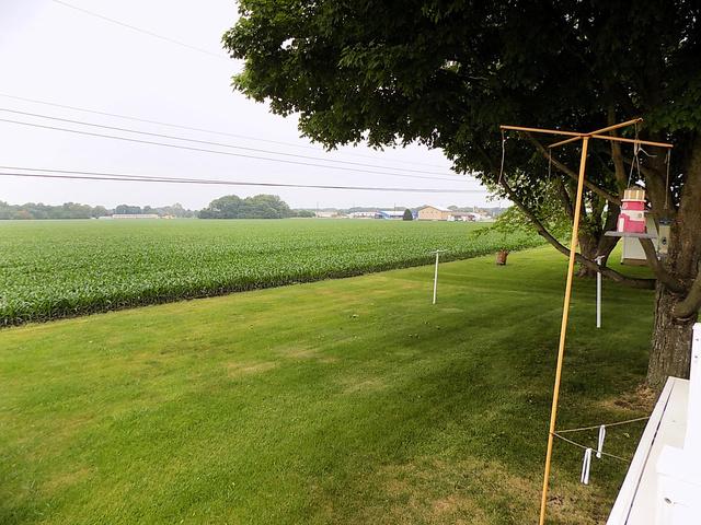 view of yard featuring a rural view