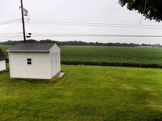 view of yard featuring a rural view and a shed